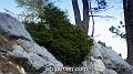 wbgarden alps 139